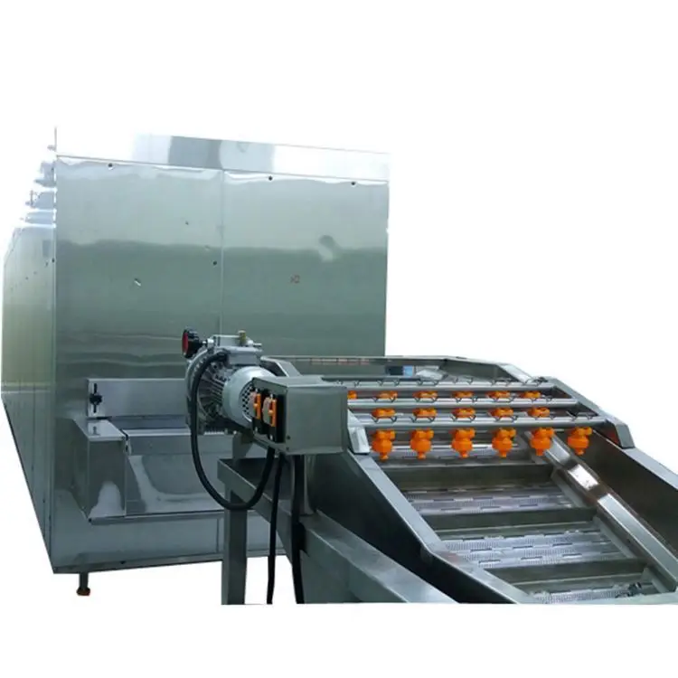 rexit liquid nitrogen tunnel freezer