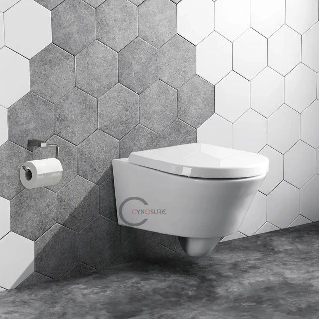 European Modern Wall Hung Wc Toilet Sanitary One Piece for Apartment Bathroom