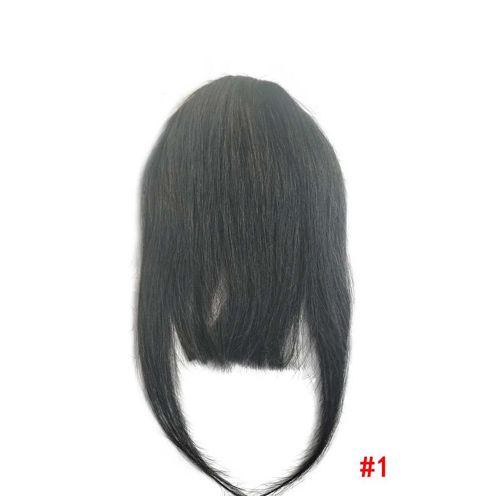 Wholesale Price Brazilian Human Hair Bangs Fringe Clip On Real Hair Straight Hair Bangs Extension
