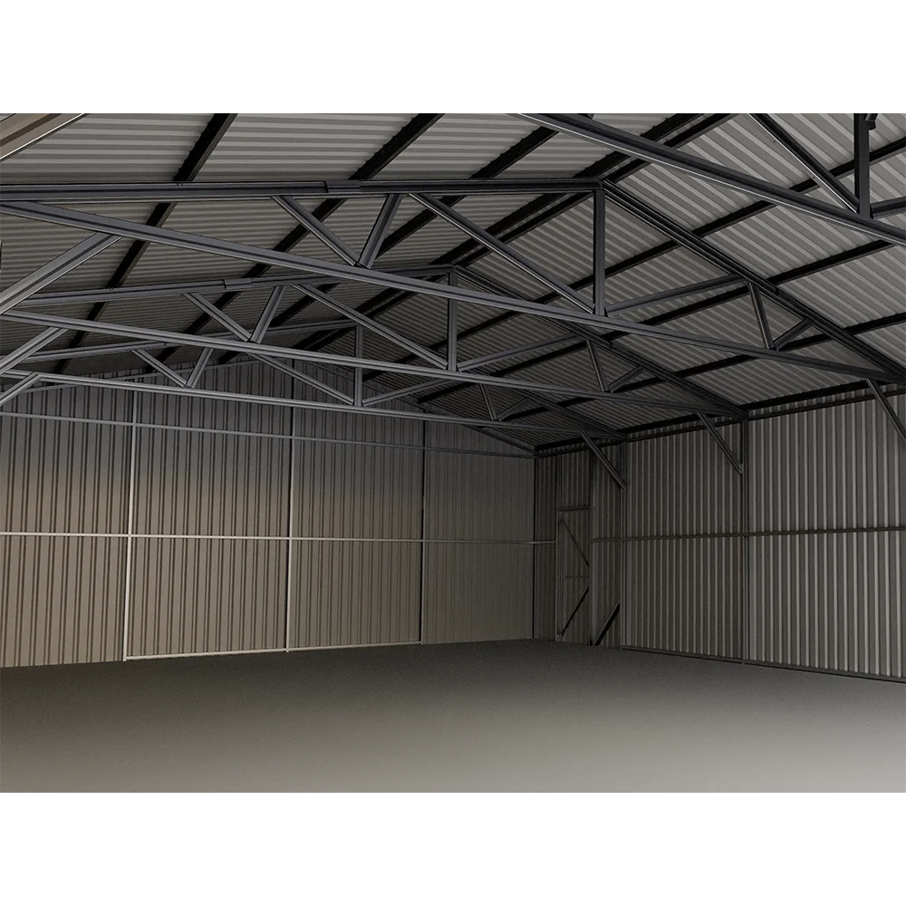 CG2533-H305 Factory wholesale 25*33 ft Double car garage Metal garden storage shed  warehouse for sale