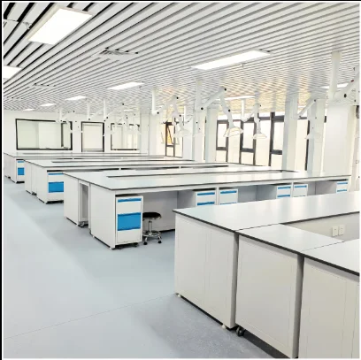 Arredamento Da Laboratorio Hotte De Laboratoire Lab De Biologie Scolaire
