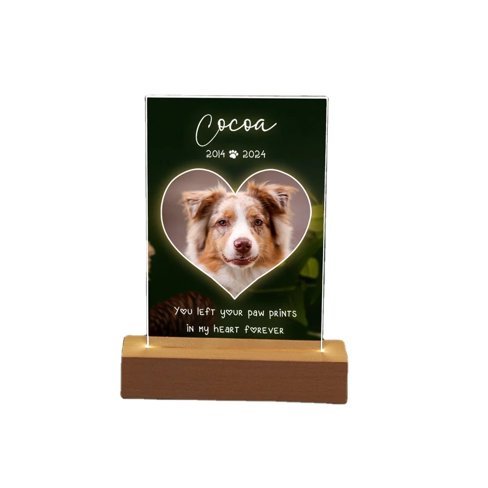 Персонализированная мемориальная светодиодная фоторамка для домашних