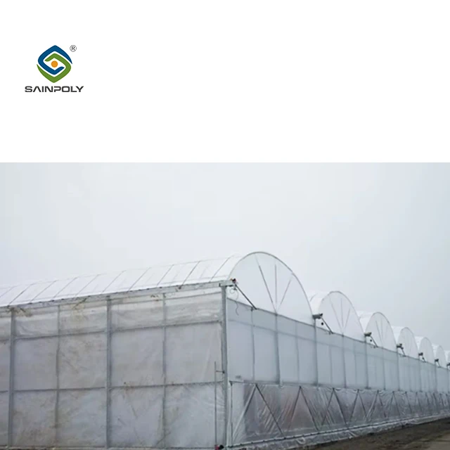 Новое поступление семян томатного парника