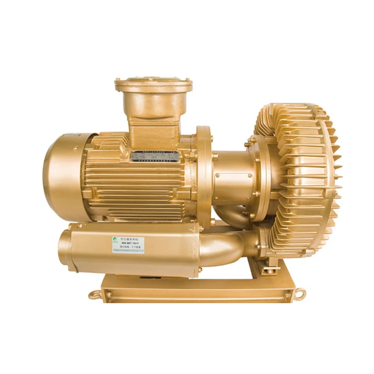 Индивидуальный взрывозащищенный насос GOORUI, боковой канал, кольцевая воздуходувка