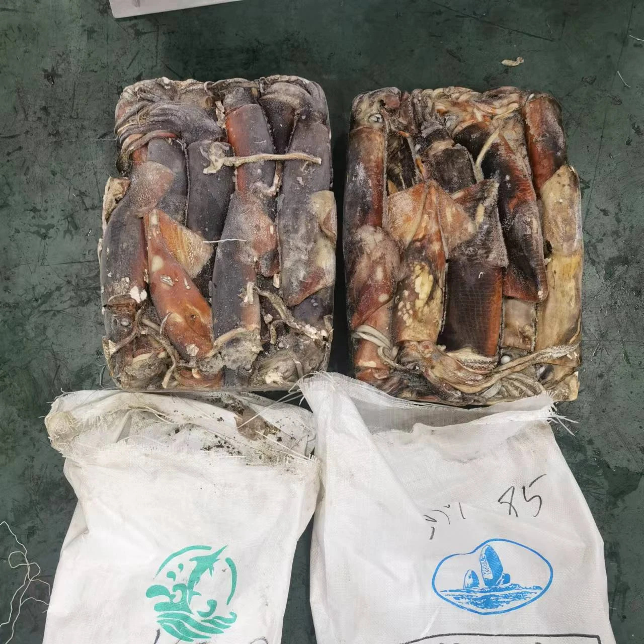 Sea Frozen Peru Squid Whole Round