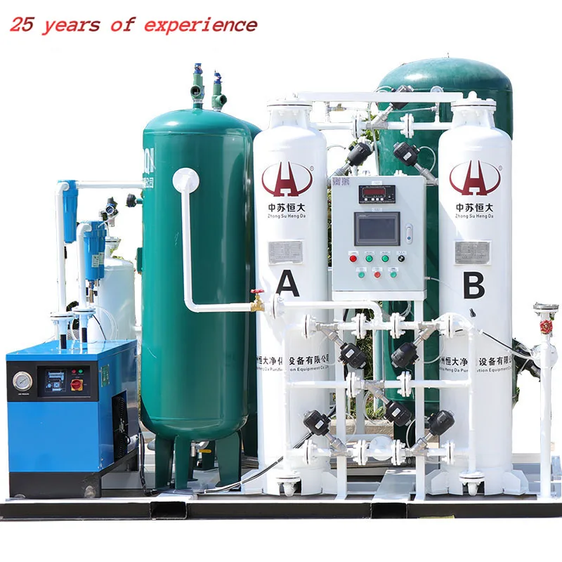 Advanced Gas Generation Equipment PSA Nitrogen Plant High Purity 95%-99.9995% Nitrogen Generator for Laboratory