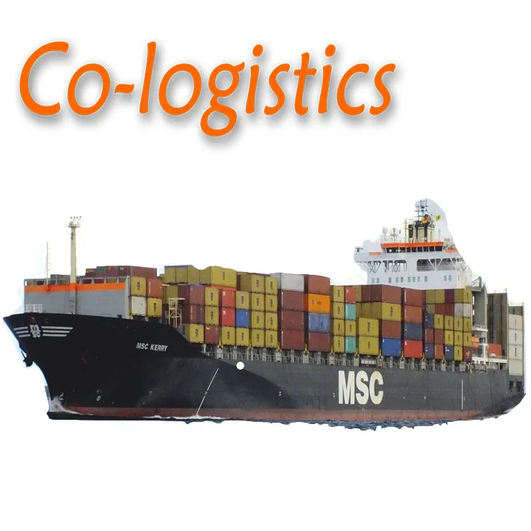 ddp door to door shipping from China to United Arab Emirates/UAE sea+truck shipping