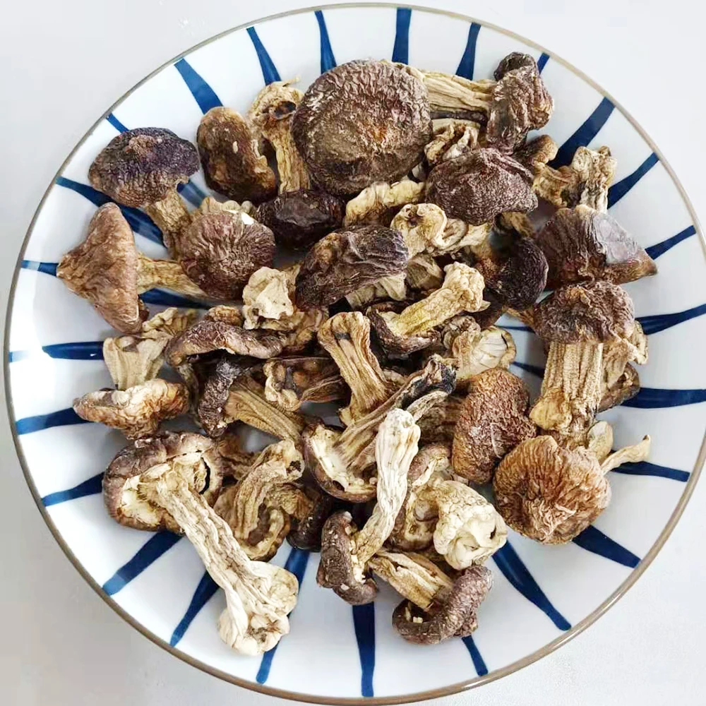Healthy Foods Dried Shiitake Mushroom Matsutake Dried Tricholoma Matsutak