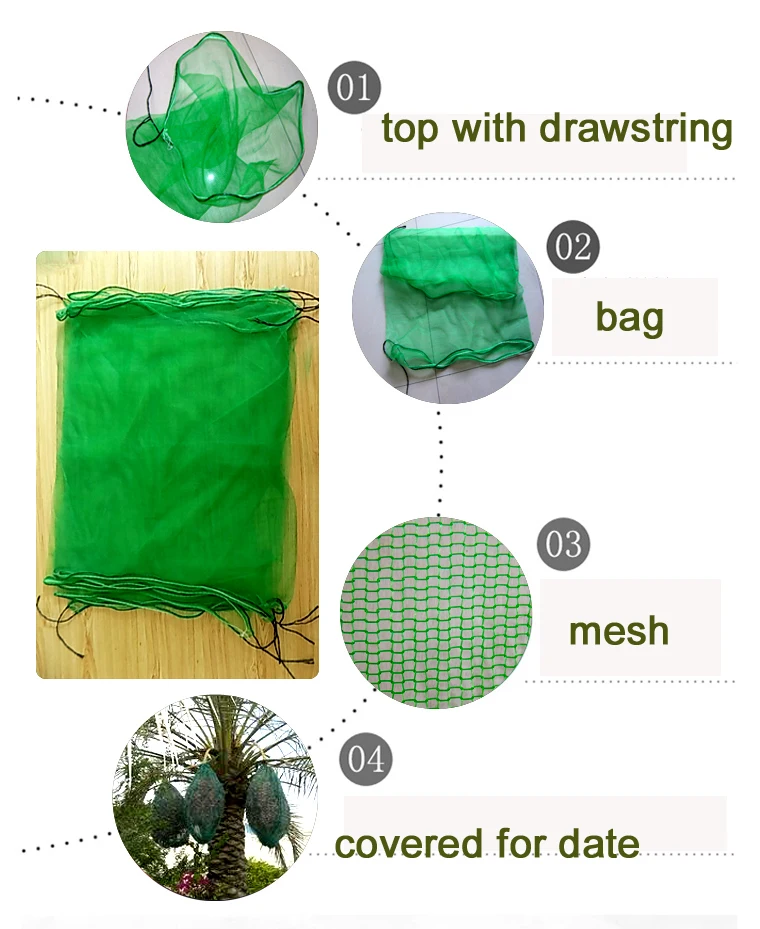 UV green monofilament net bag packing pe date mesh bags for date palm