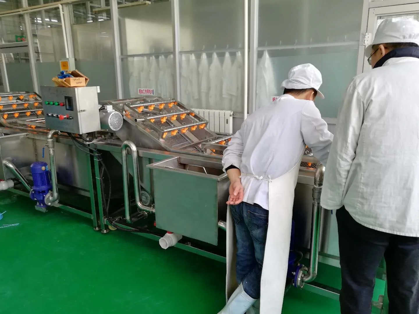 Vegetable fruits wash and dry processing machines supply vegetable washing line