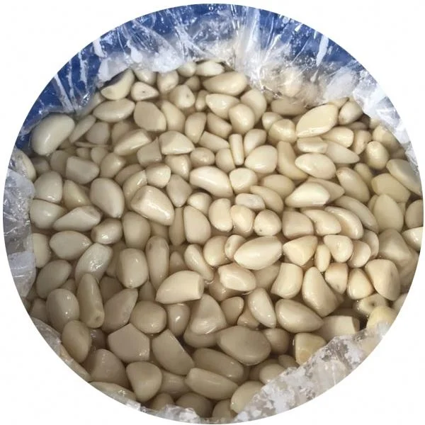 
Professional supply New Arrival healthy garlic distributor for sale 