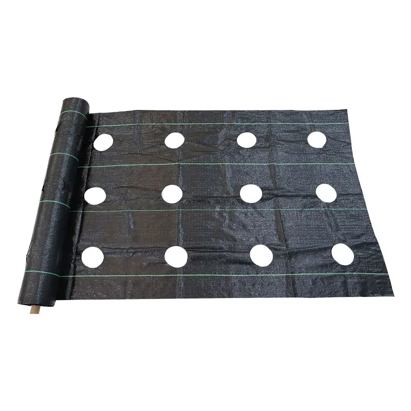 perforated weed mat agricultural plastic mulch film ground cover membrane landscape fabric Weed Block  hole