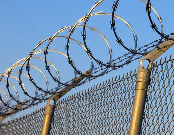 Factory Price Hot Sale Galvanized Razor Wire Fence/ Razor Barbed Wire