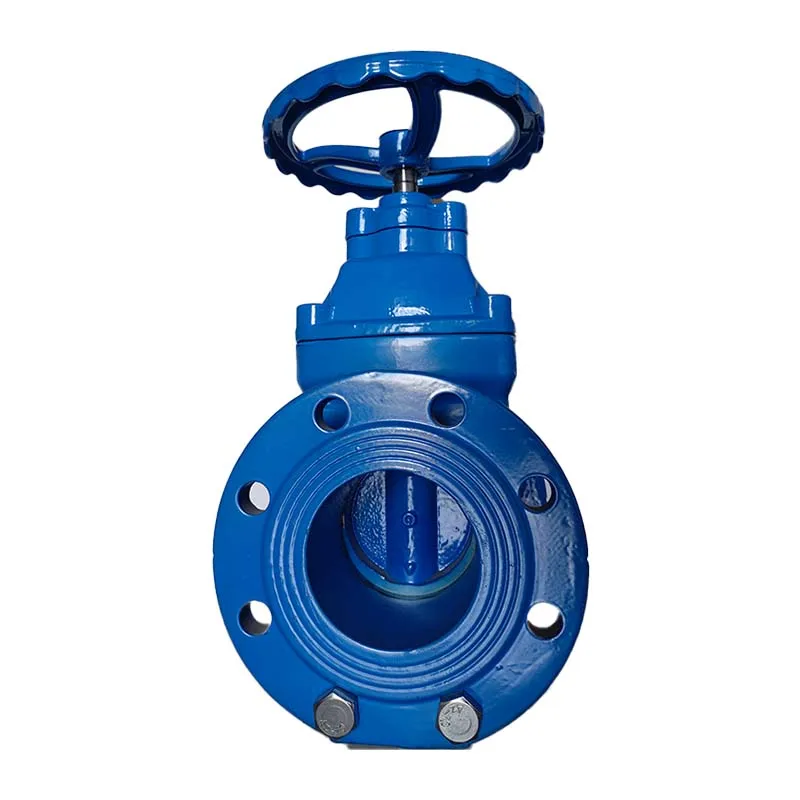 China Gate Valve Manufacturer Water DN100 mm PN16 Compression Flange Ends for Fluids