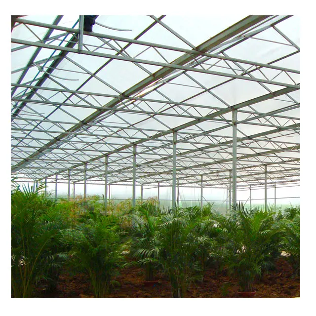 
Agriculture hydroponics pc sheet venlo greenhouse farmming for sale 