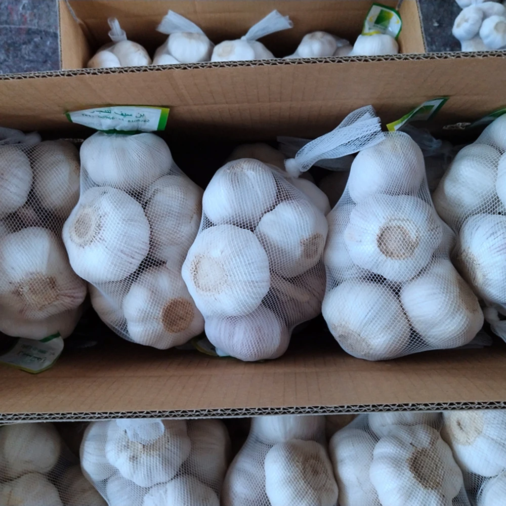 Fresh Normal White Garlic Pure White Garlic