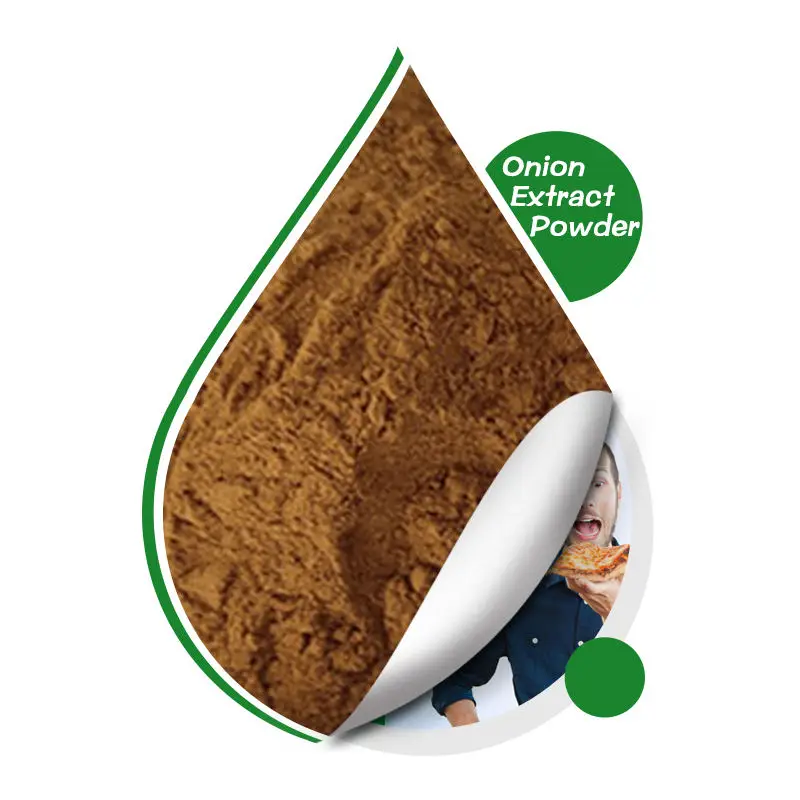 Chinese Factory Pure Natural Organic Vegetable Dehydrated Onion Extract Powder Org.Shiitake Extract Free Sample In Stock