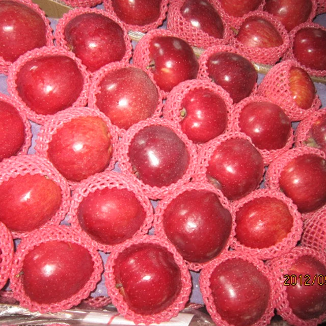 fresh huaniu red apple factory red delicious apples