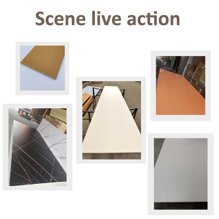 live action.jpg
