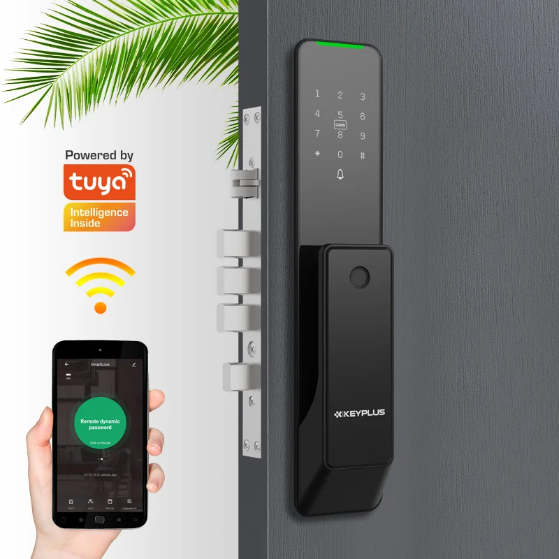 Guangdong tuya wifi electronic digital fingerprint home handle push pull smart door lock for gate front door