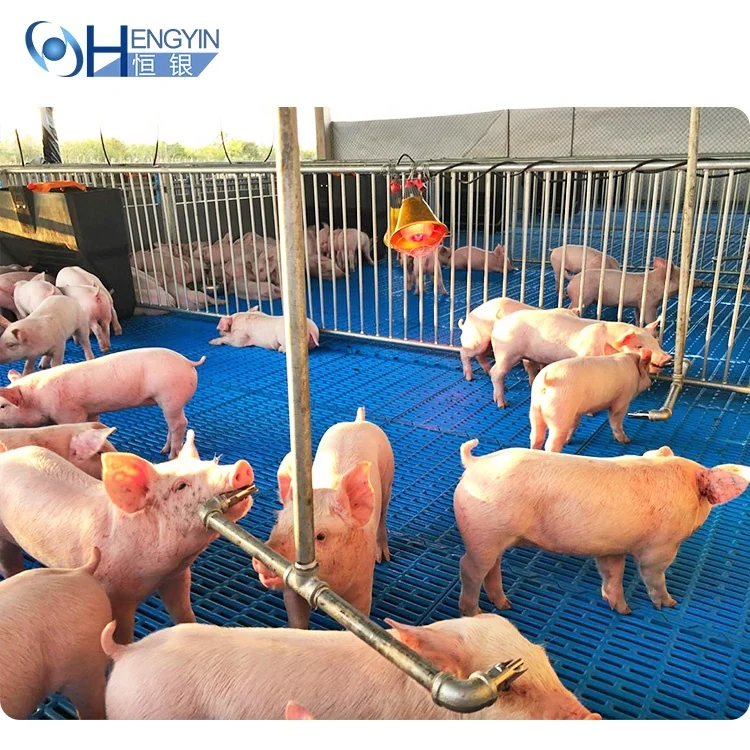 Factory Price Farrowing Crate Pig Gestation Crate Sow House sow gestation cage