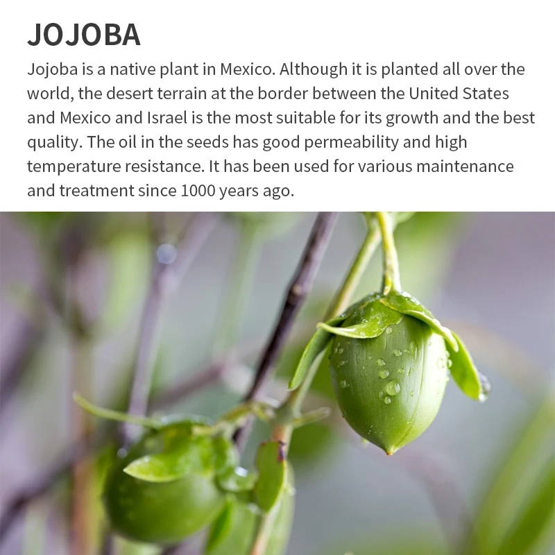 China wholesale Bulk Jojoba oil organic 100% pure 5 Liters For skin care massage