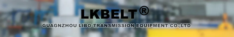 LKBELT-001.png