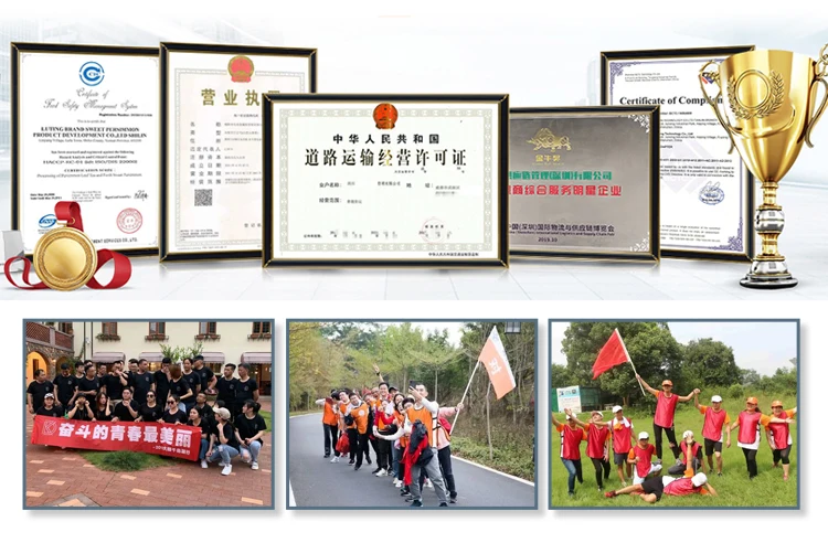 top 10 freight forwarder $1.65 - $1.9 /kg DDP by sea China freight to Austria