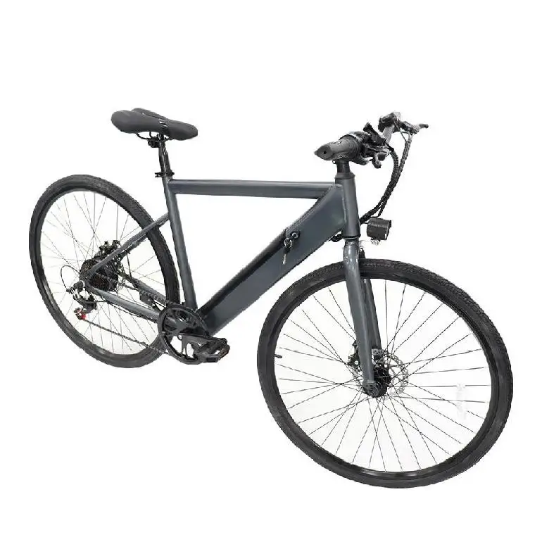 City Road Riding 40km/H Strong E Green Power 22kg Lithium Battery Electric Bike City Bicycle Ebike
