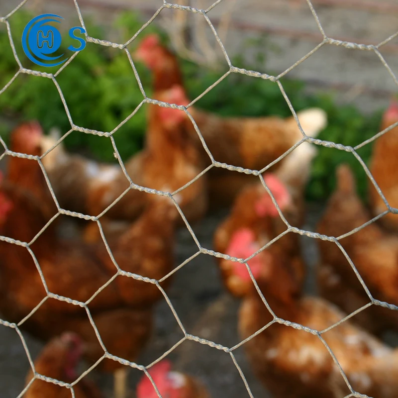 Hexagonal shape iron wire mesh fence metal galvanized woven reverse twist chicken fences net cage