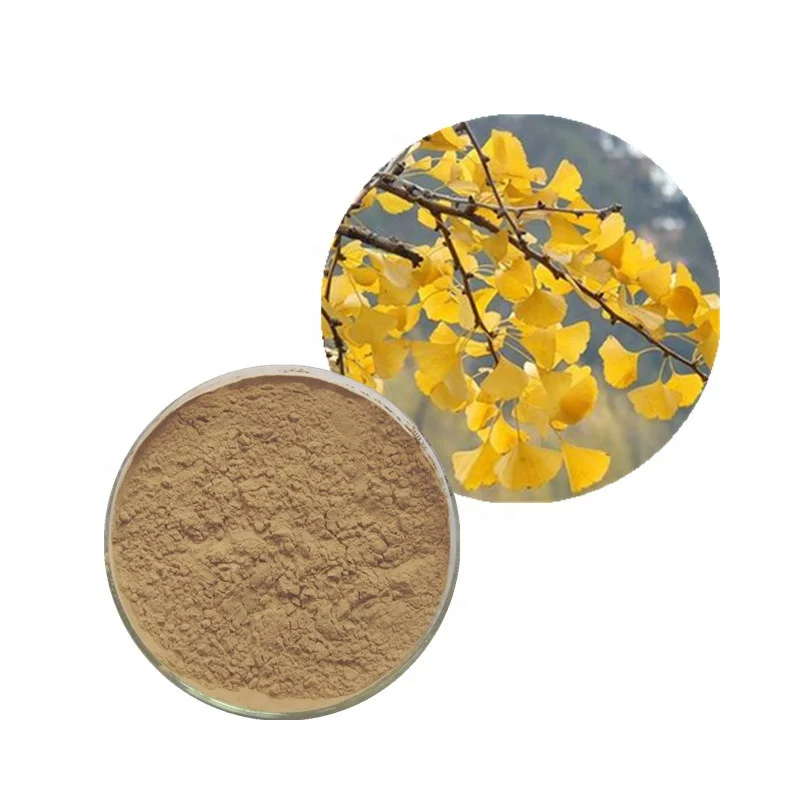 
High quality natural 500mg ginkgo biloba leaf extract 24% flavone, 6% Ginkgolides 