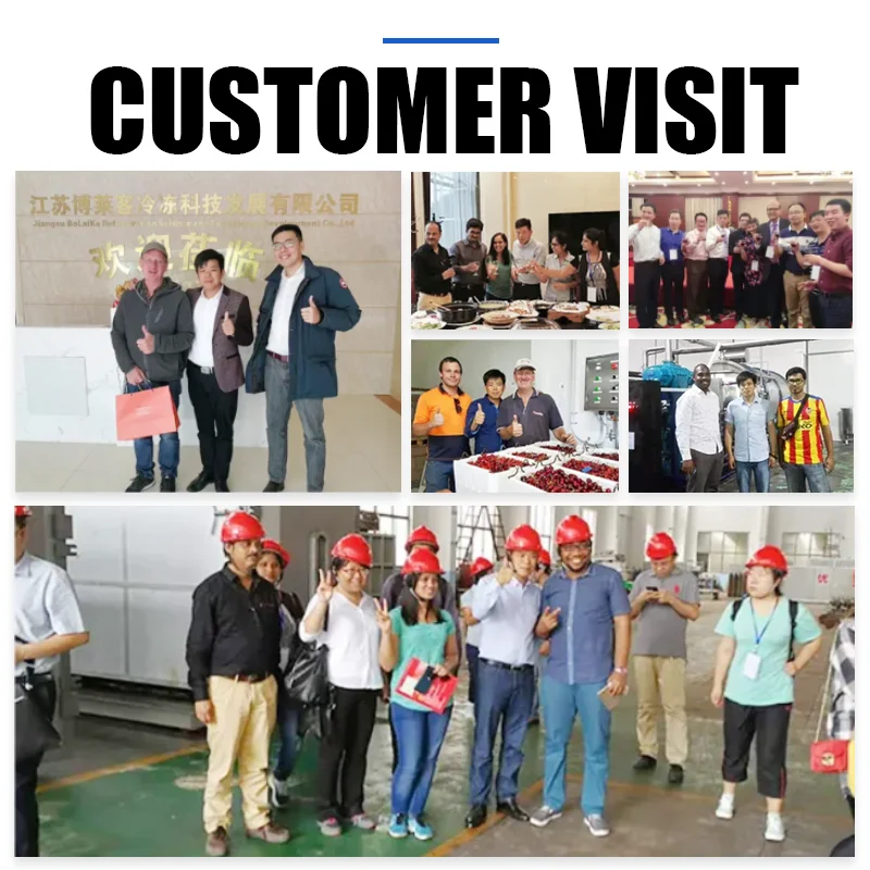 Professional Supplier insulated wallboard for container cold room panel wall panels cold room