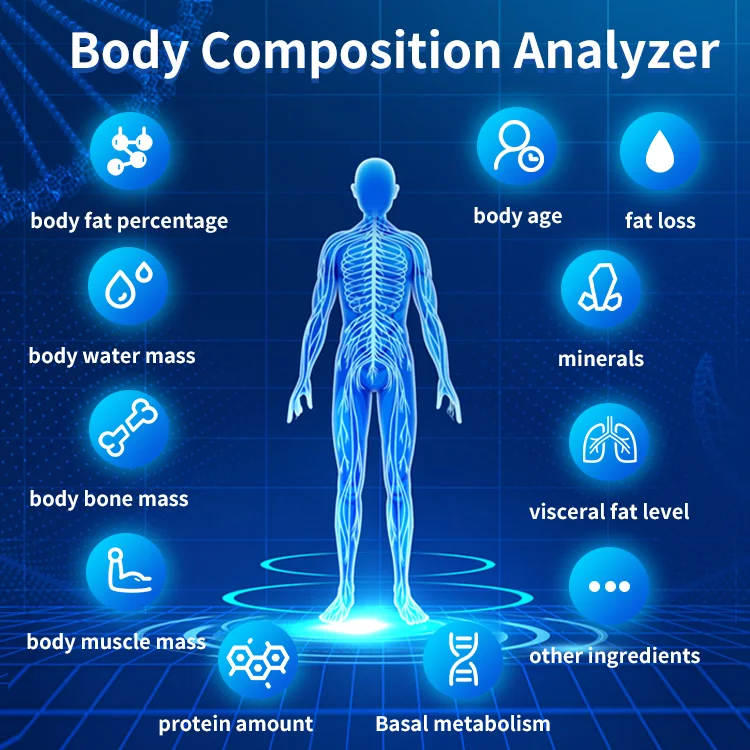 SH-FM1 Professional Bioimpedancia Body Composition Analyzer Machine Body Composition Scanner