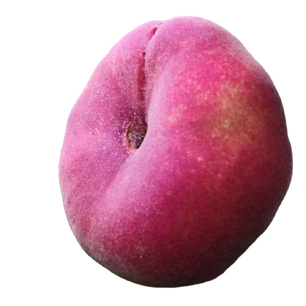 
Оптовая продажа, свежие фрукты, Красный персик по конкурентоспособным ценам 