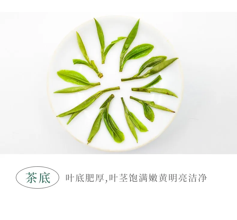 Huangshan Maofeng ecological organic green tea first - grade Mingqian Maojian new tea