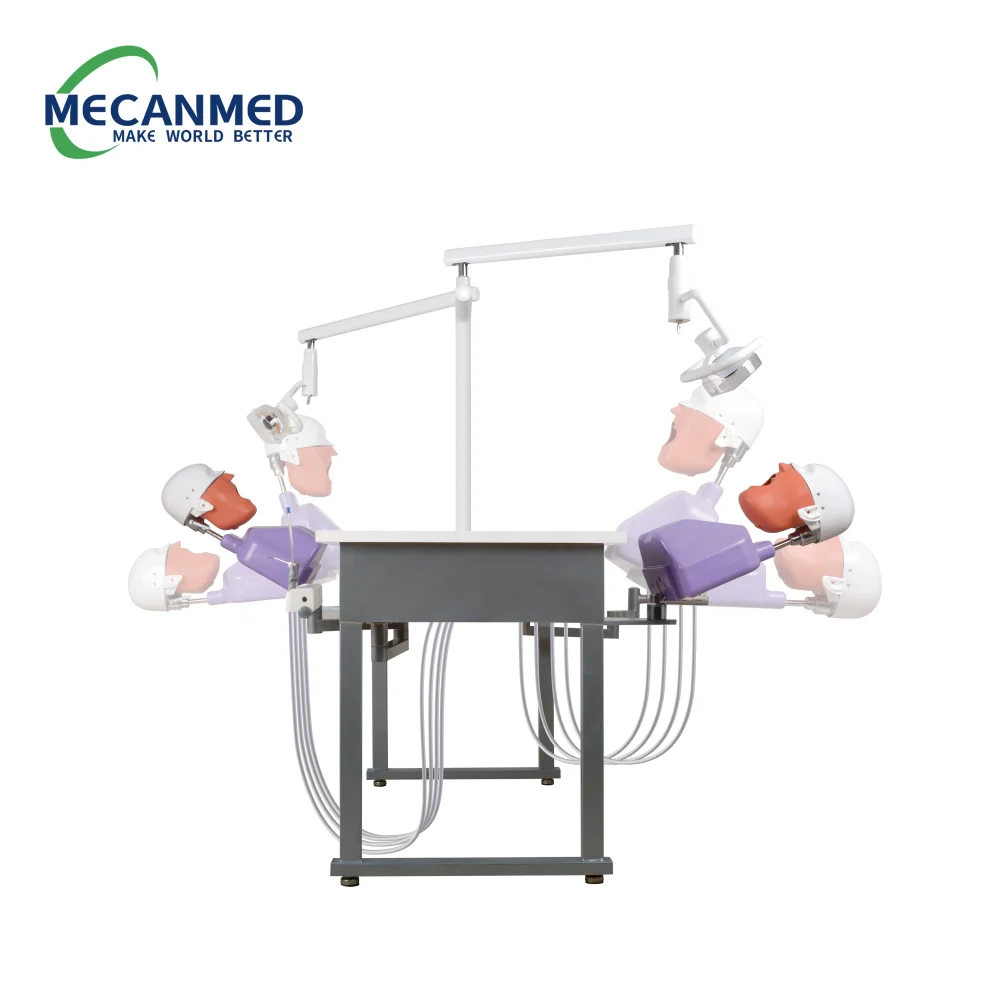 Top Quality Dental Education Manikins Dental Simulation Model Phantom Head Dentist Education Teach Studying Dental Simulator
