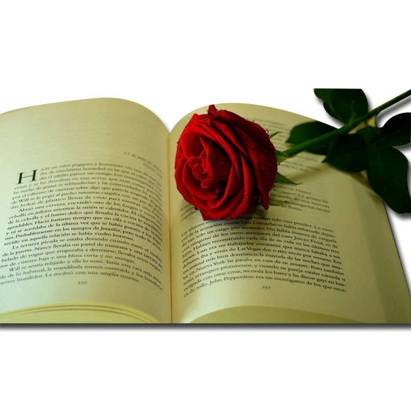 Cheap price printing english novel book