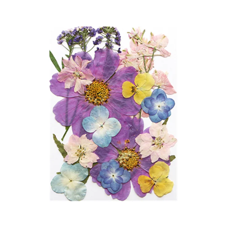 16 to 23 PCS Pressed Flower DIY Material Package Pressed Flower Combination Kits for Bookmark Phone Case Epoxy and Face Makeup