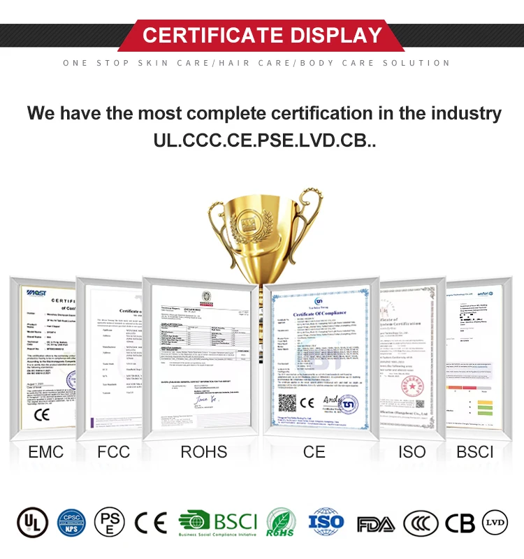 hot selling professional salon hair dryer Quick drying Low Noise Electric Cold Hot Air ion electric Hair blow Dryer machine