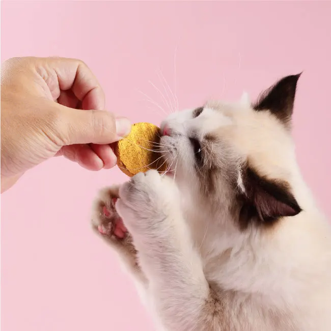 Закуски для домашних животных сублимированный пирог с мясом корм собак и кошек