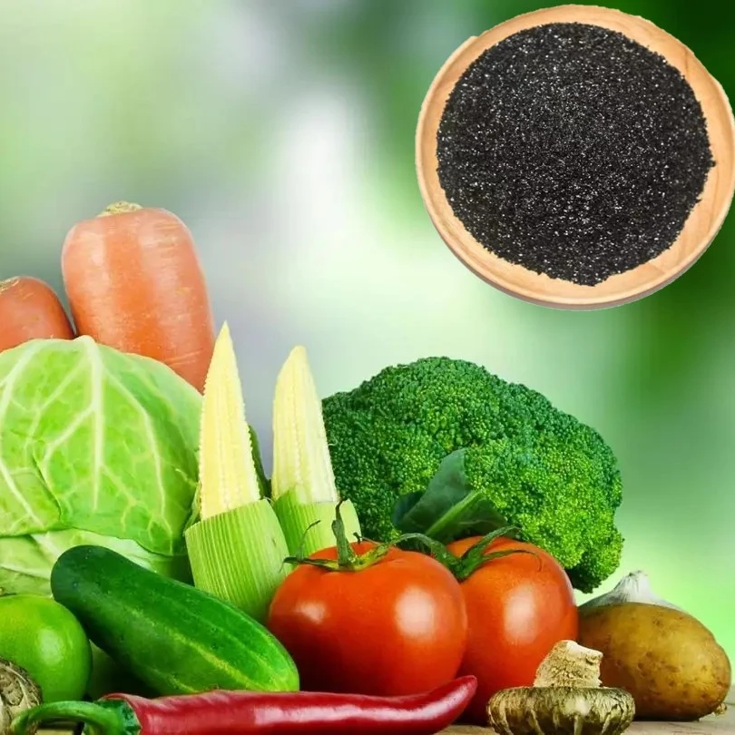 Organic fertilizer good soil conditioner humic acid fertilizer for fruits and vegetables