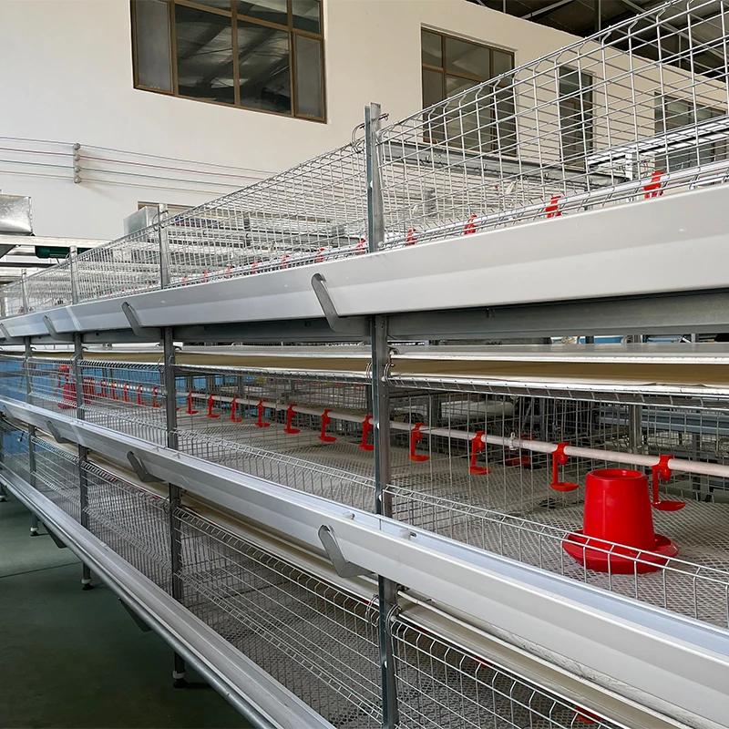 New Design Reasonable Price Chicken Poultry Farm Broiler Battery Cage for Growing Broiler Chicken Rate Cages