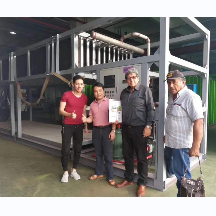 ICEUPS 25 ton industrial brick ice machine Machine for fish