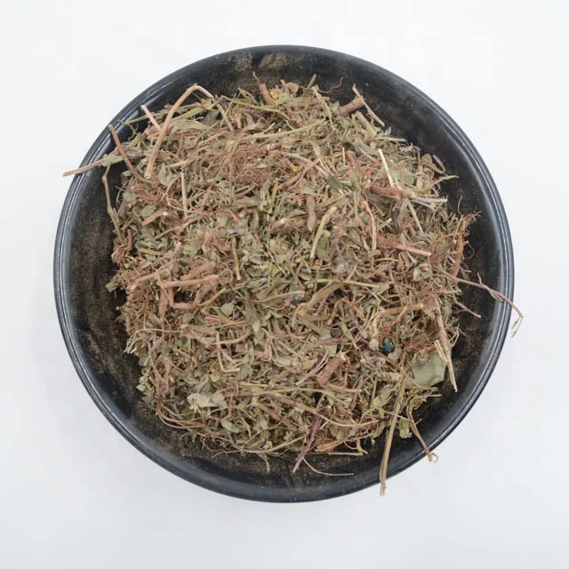 
Zhen Zhu Cao/Chinese Herb Common Leafflower Herb/Phyllanthus niruri; Pearl grass 
