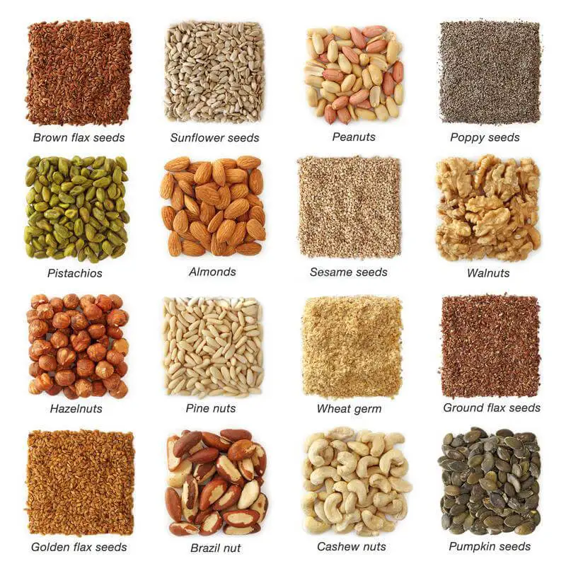 screw press btma sunflower oil press machine commercial oil press extruder oil sunflower machine