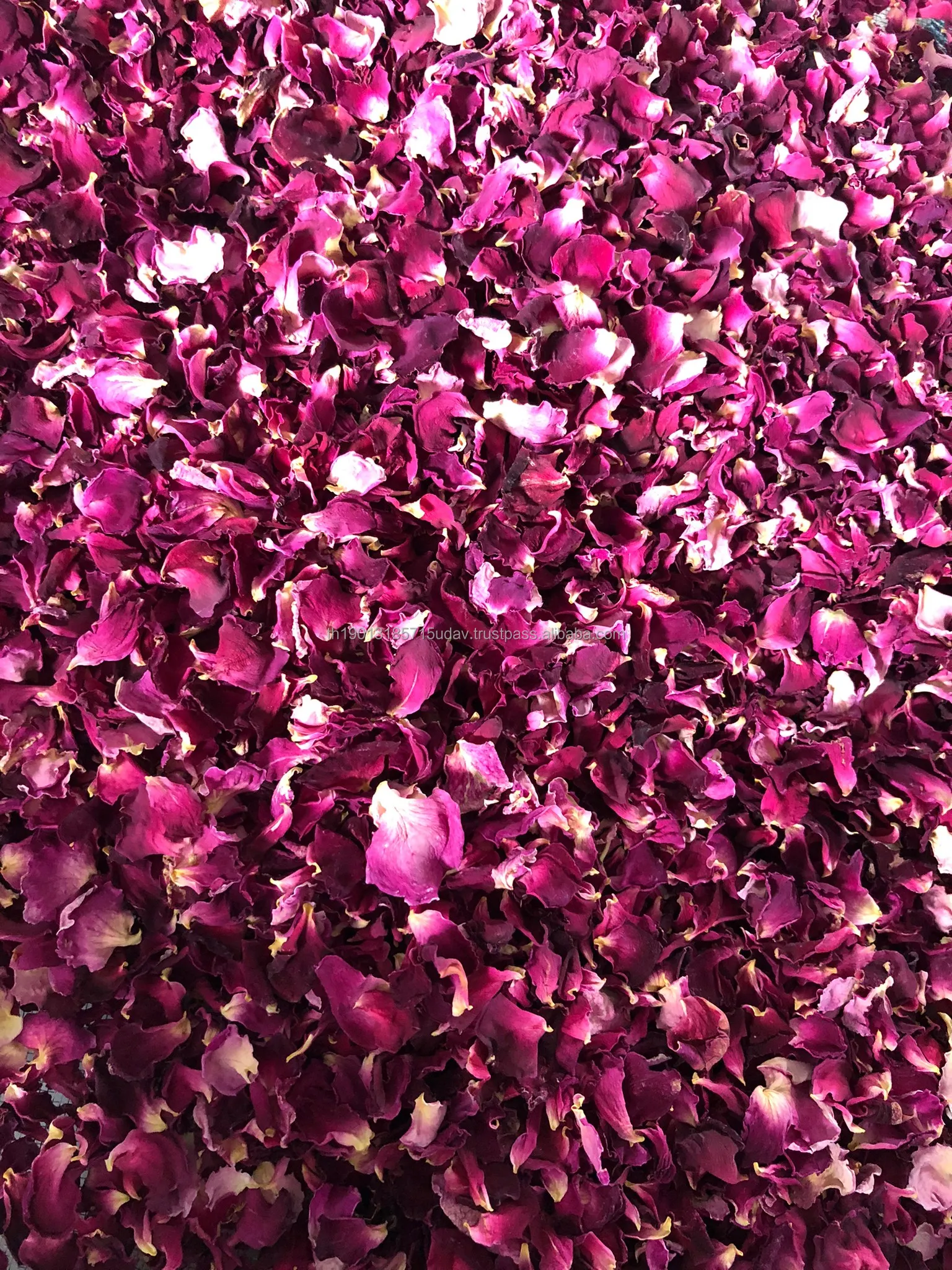 High Quality Premium Organic Rose Petal Tea From Thailand Beauty Health Care Product Dried Rose Flowers