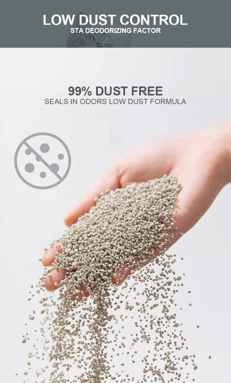 OEM ODM Litter Factory 5L Bentonite Cat Litter Strong Clumping Muti-Fragrances Dust-Free Cat Kitty Litter Sand
