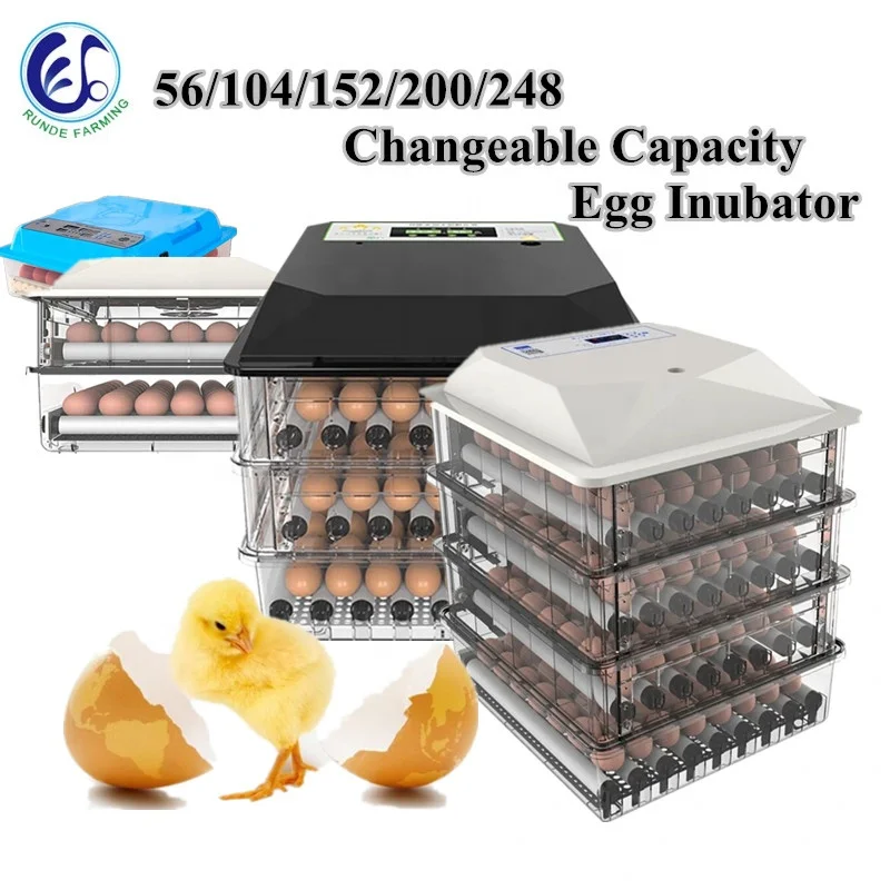 special offer in february capacity 200  mini automatic incubator egg hatchery chickens machine