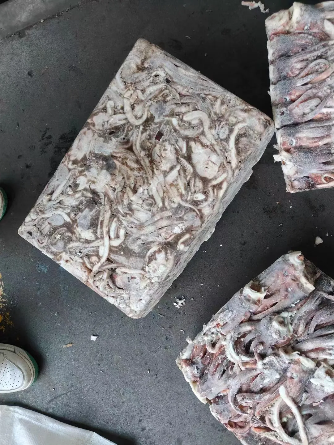 Raw Meat New Processing Calamari Tentacles Material Argentina Frozen Illex Squid Head