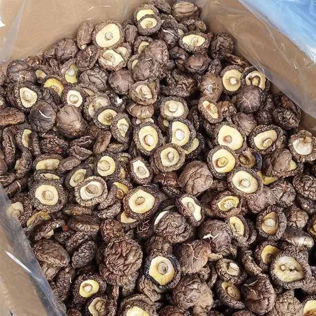 Hot Selling Chinese Agricultural Black Mushroom Bulk Dried Shiitake Mushroom